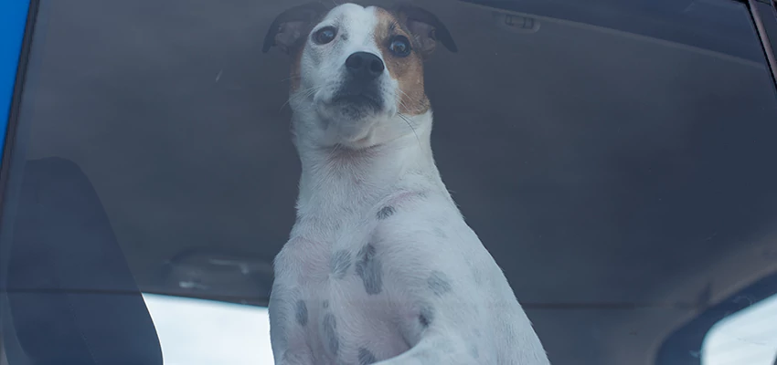 Car Lockout Solutions in Atascadero, California